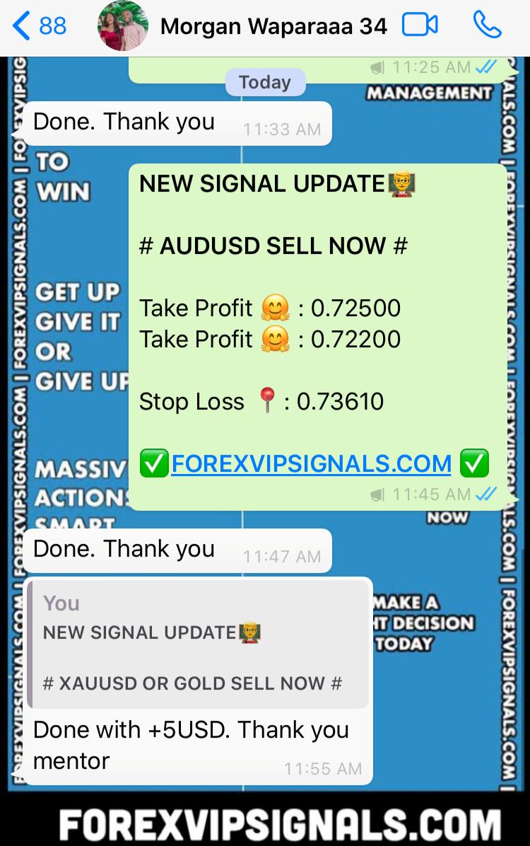 forex signals free by forex vip signals
