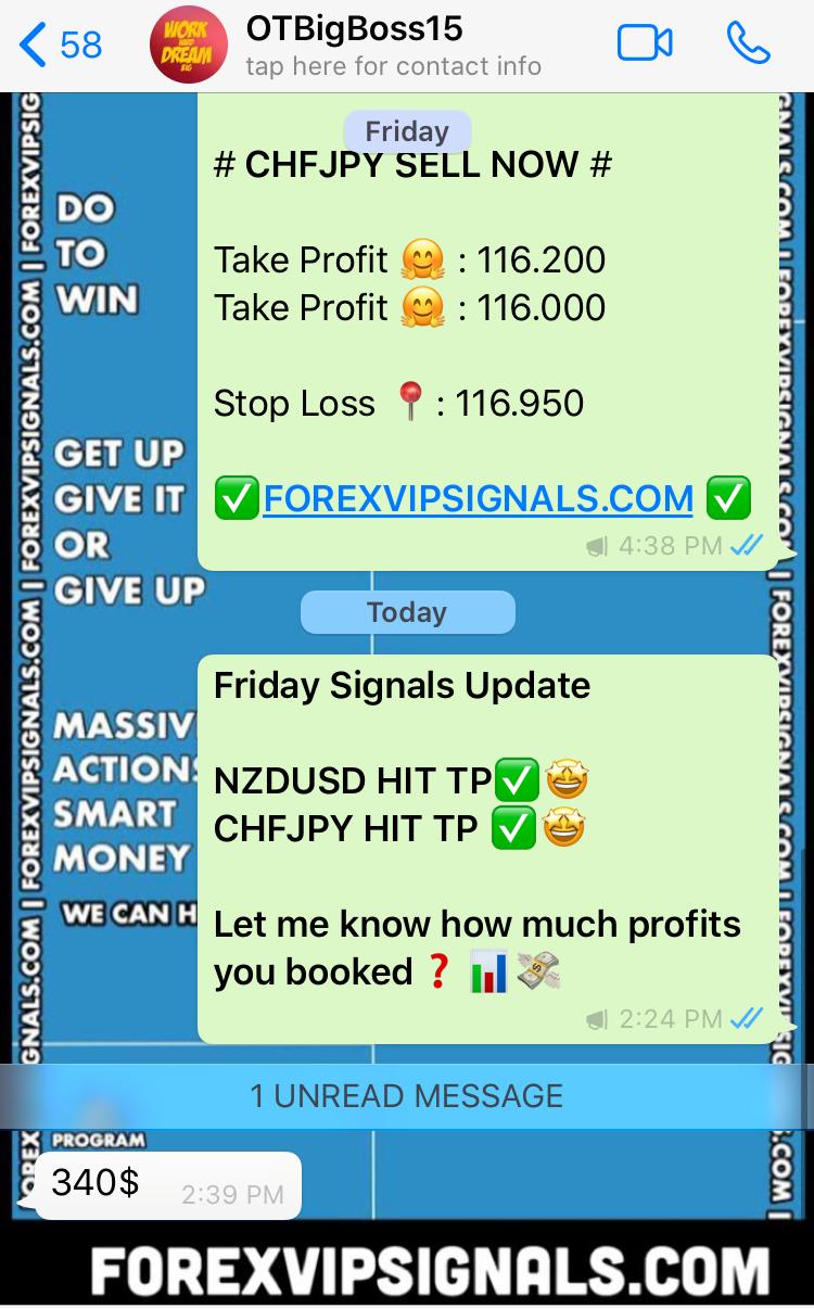 daily forex signals by forex vip signals