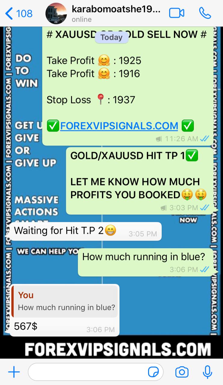 accurate forex signals free with forex vip signals