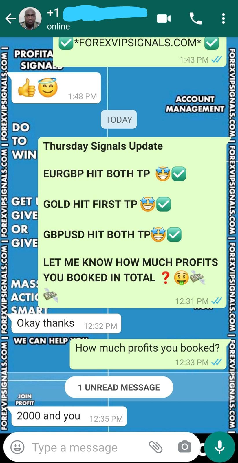 best forex signal provider with forex vip signals