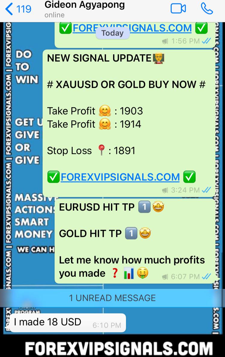 best paid forex signals with forex vip signals
