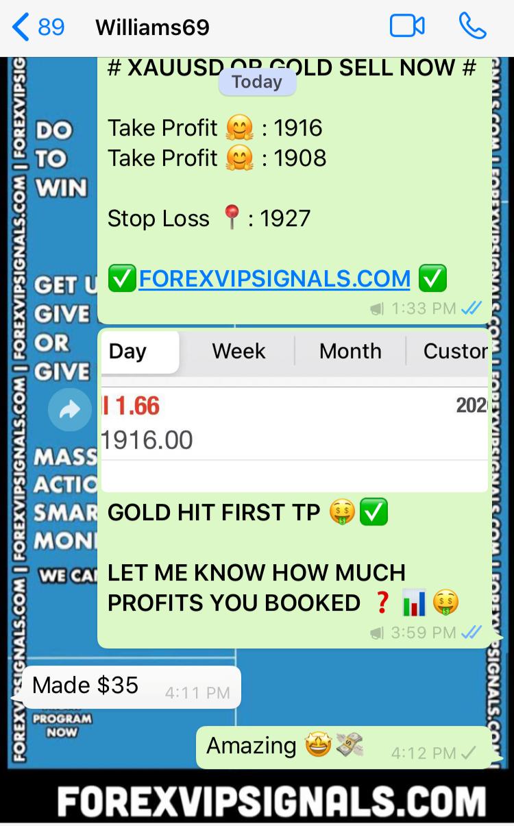 copy trade profit fx with forex vip signals