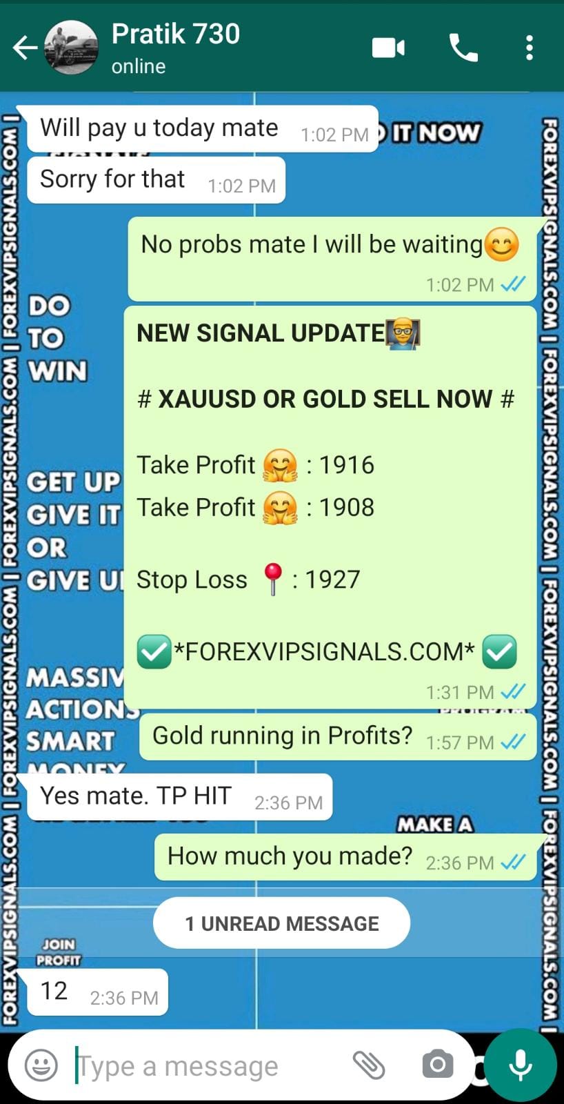 daily gold trading signals by forex vip signals