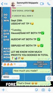 forex signals by forex vip signals