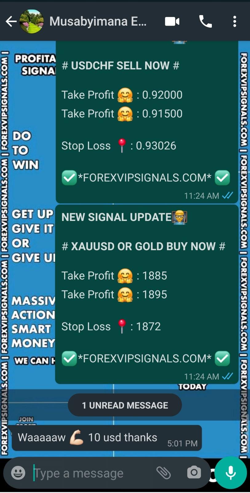 fx profit signals with forex vip signals