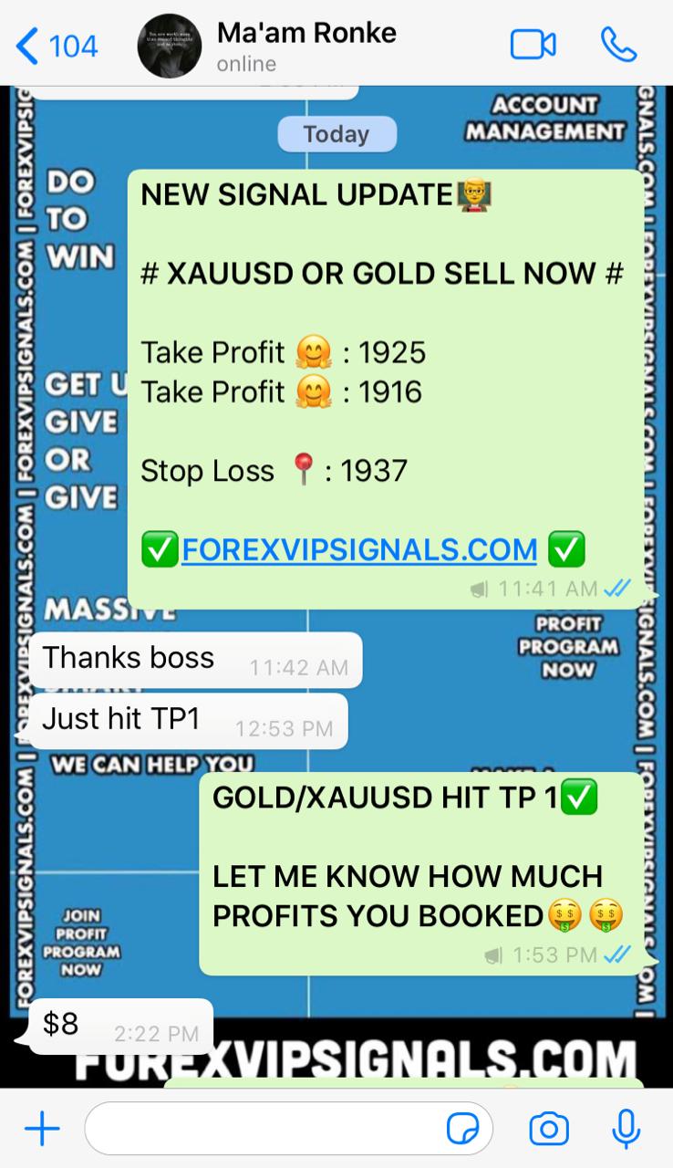 live daily signals with forex vip signals