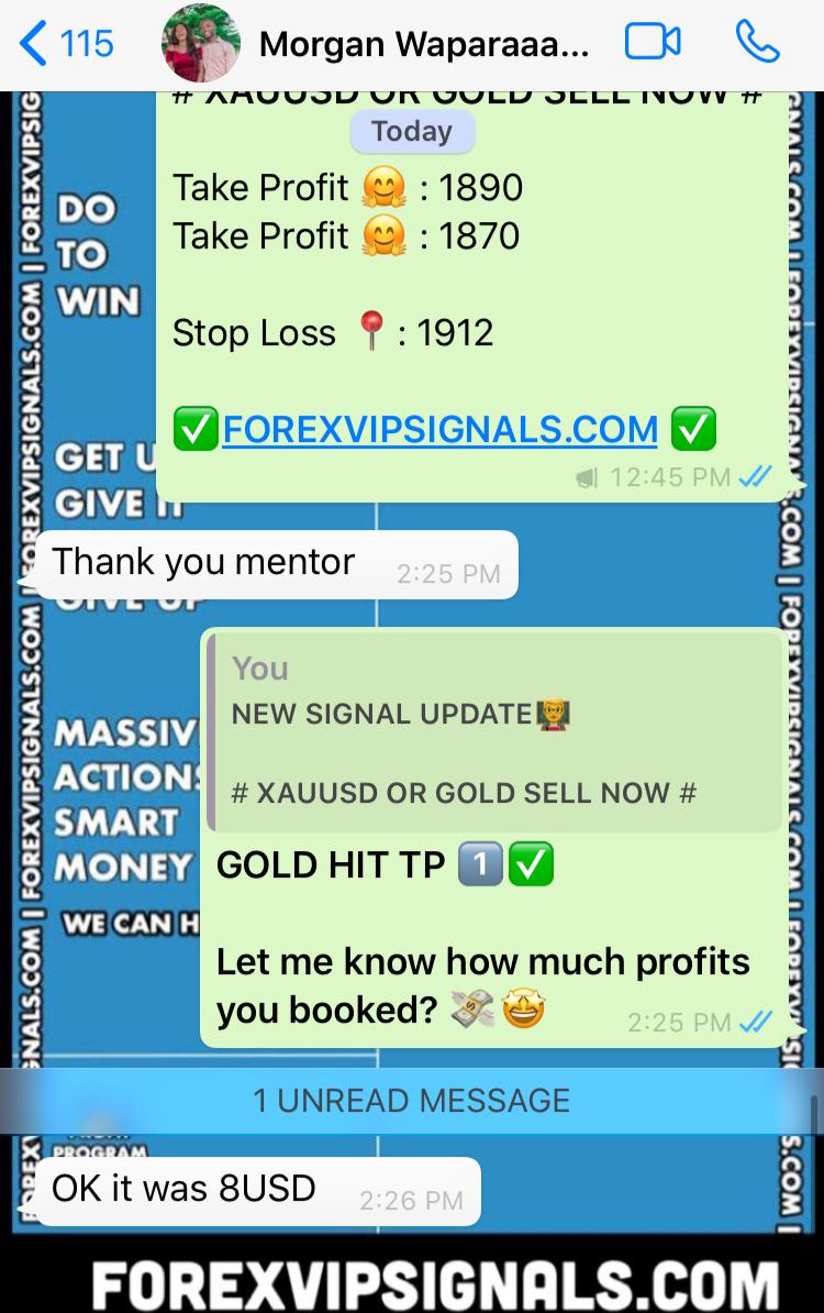 live forex signals by forex vip signals