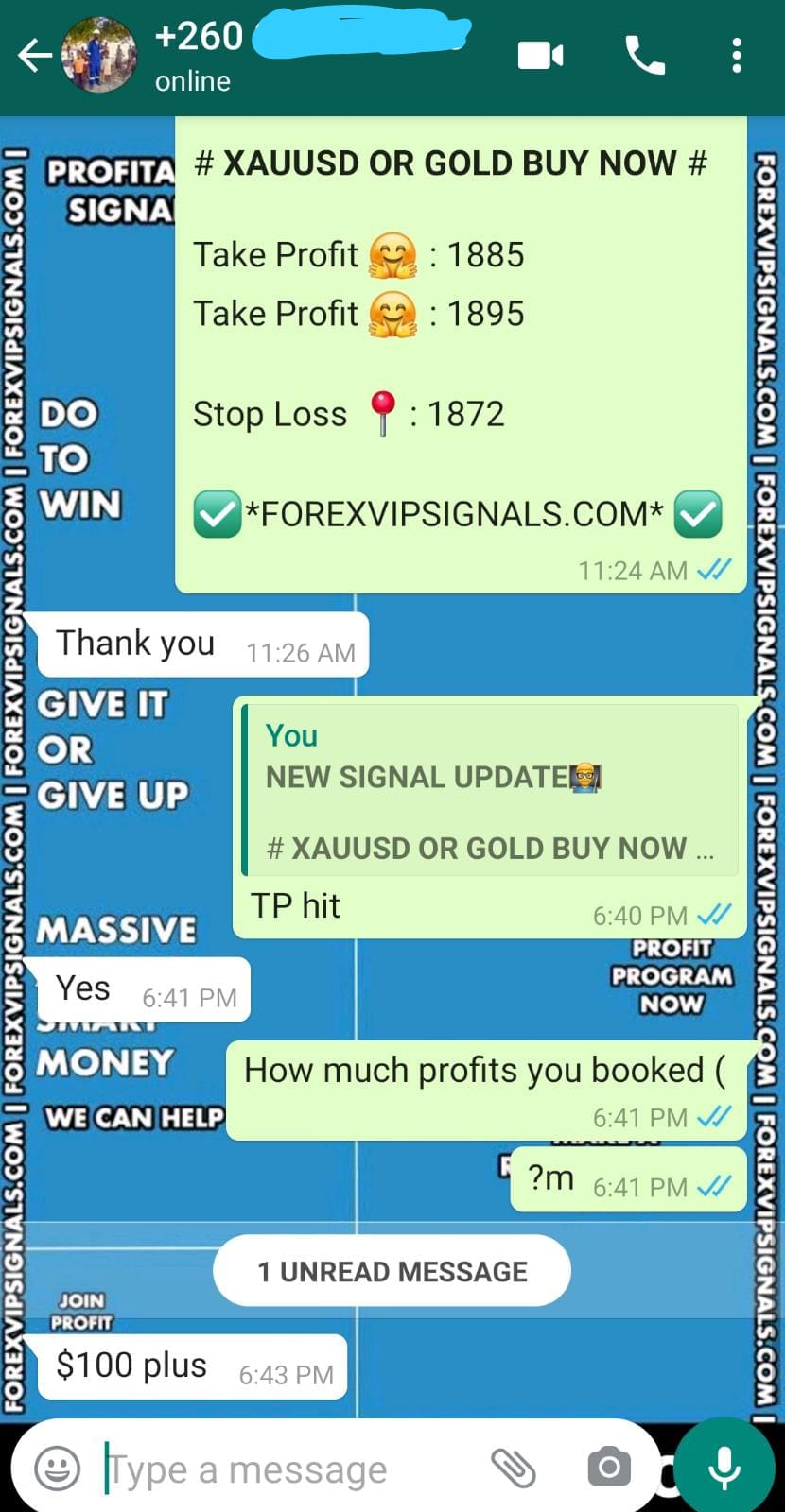 online signals forex by forex vip signals