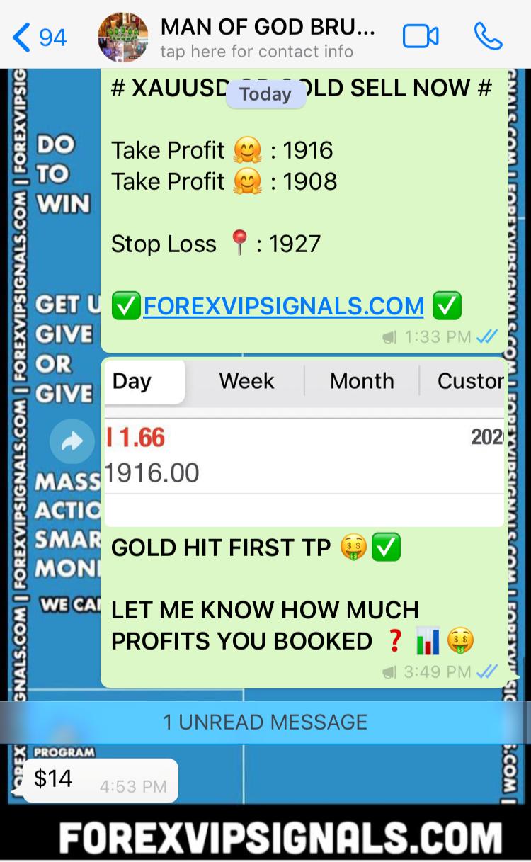 professional forex signals by forex vip signals