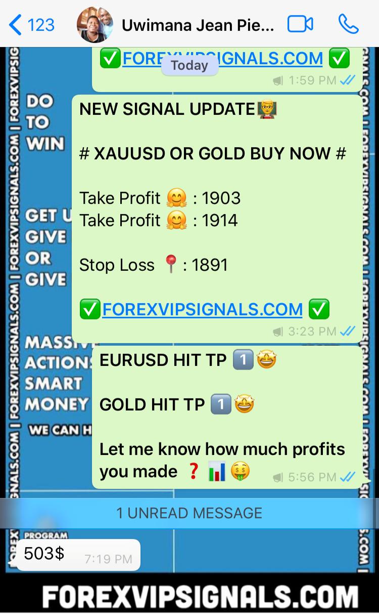 signal forex real time with forex vip signals