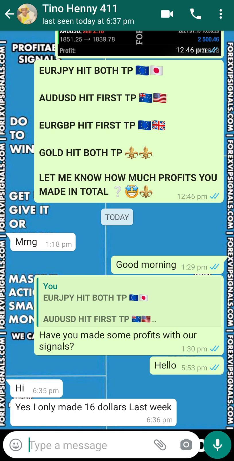 accurate forex signals with forex vip signals