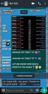 best forex signals telegram with forex vip signals