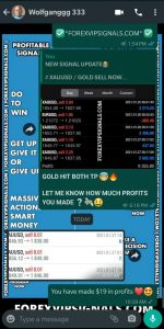 best forex trading signals by forex vip signals