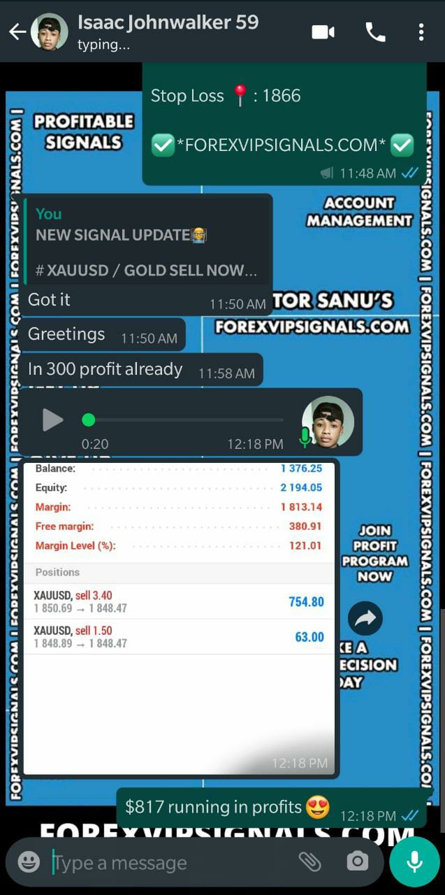 daily forex signals with forex vip signals
