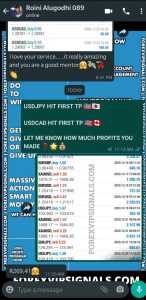 daily price action signals with forex vip signals