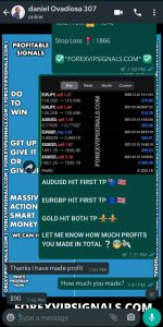 forex scalping signals with forex vip signals