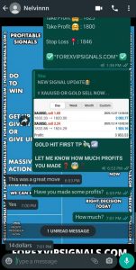 forex signals telegram by forex vip signals