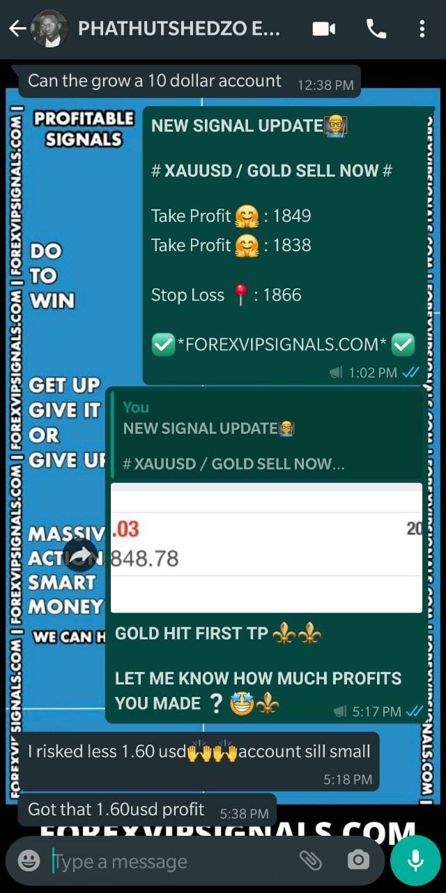 forex signals telegram by forex vip signals