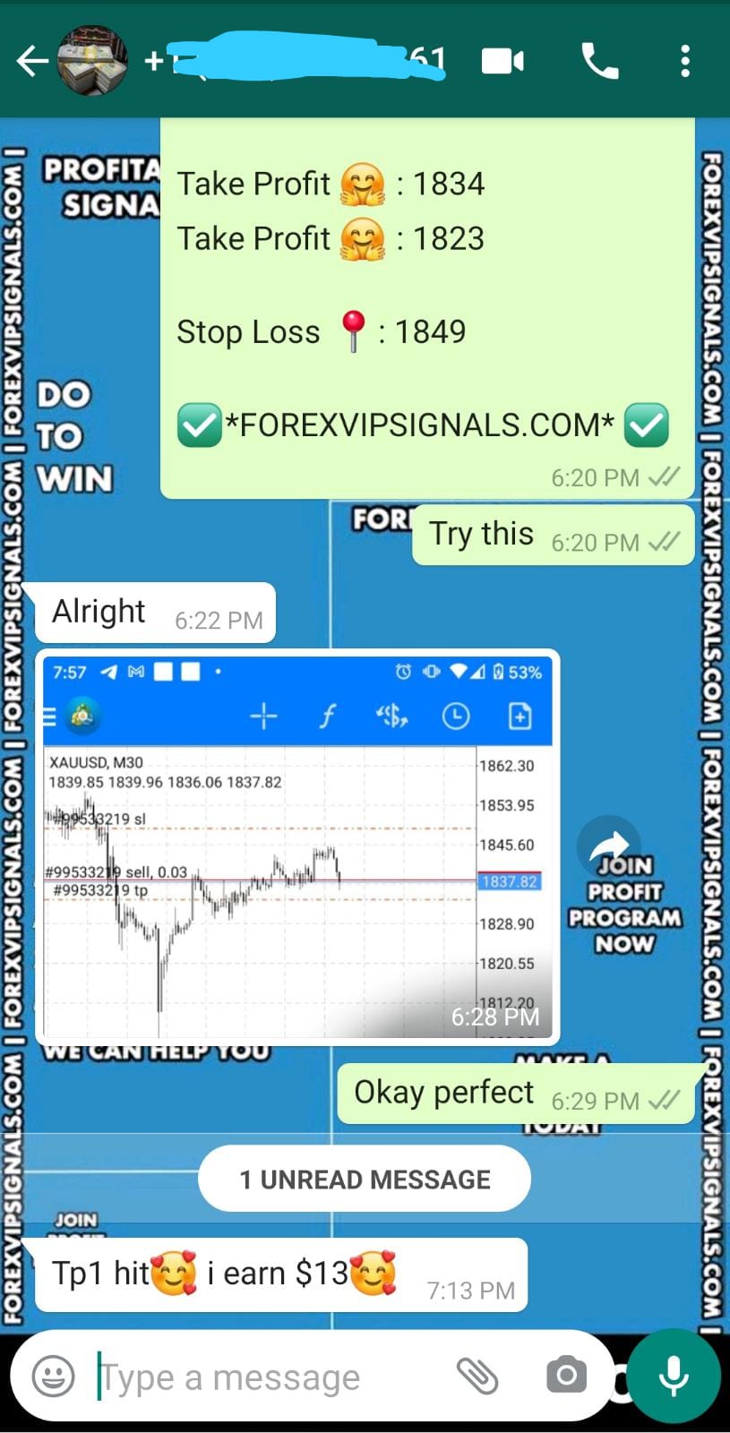 free forex signals telegram with forex vip signals