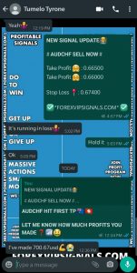 fx profit signals with forex vip signals