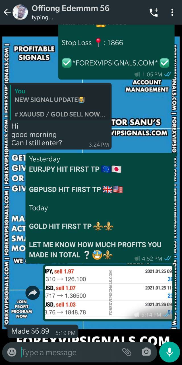 live daily signals by forex vip signals