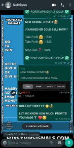 most accurate forex signals by forex vip signals