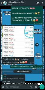 most reliable forex signals with forex vip signals