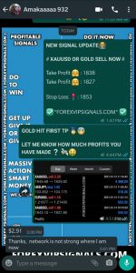 telegram trading signals with forex vip signals