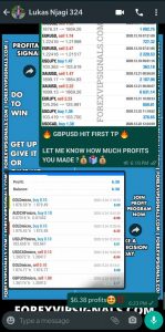 trade signals live with forex vip signals