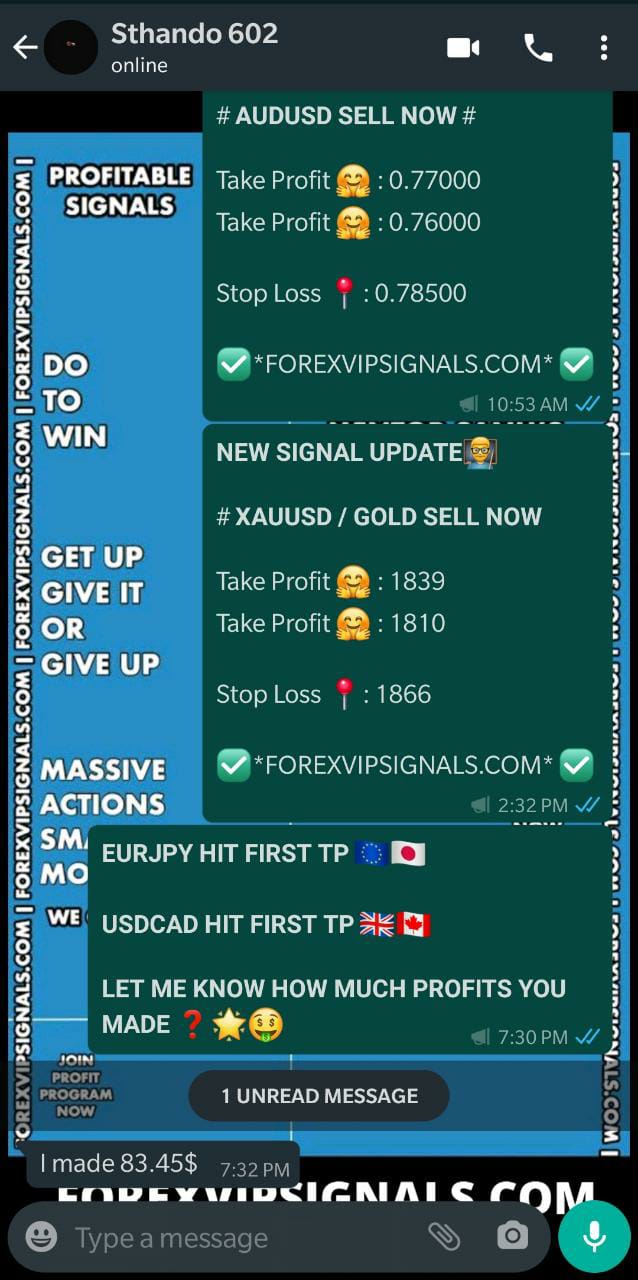 best whatsapp forex signals by forex vip signals