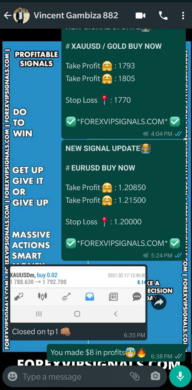 daily forex signals by forex vip signals