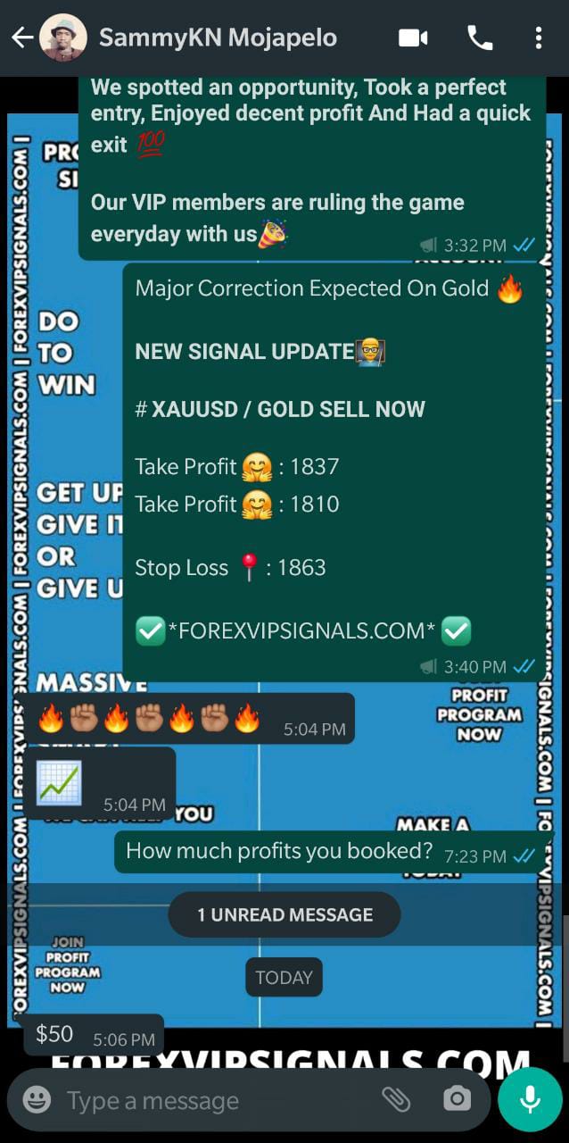 daily gold trading signals with forex vip signals