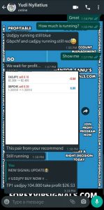 forex swing trading signals by forex vip signals