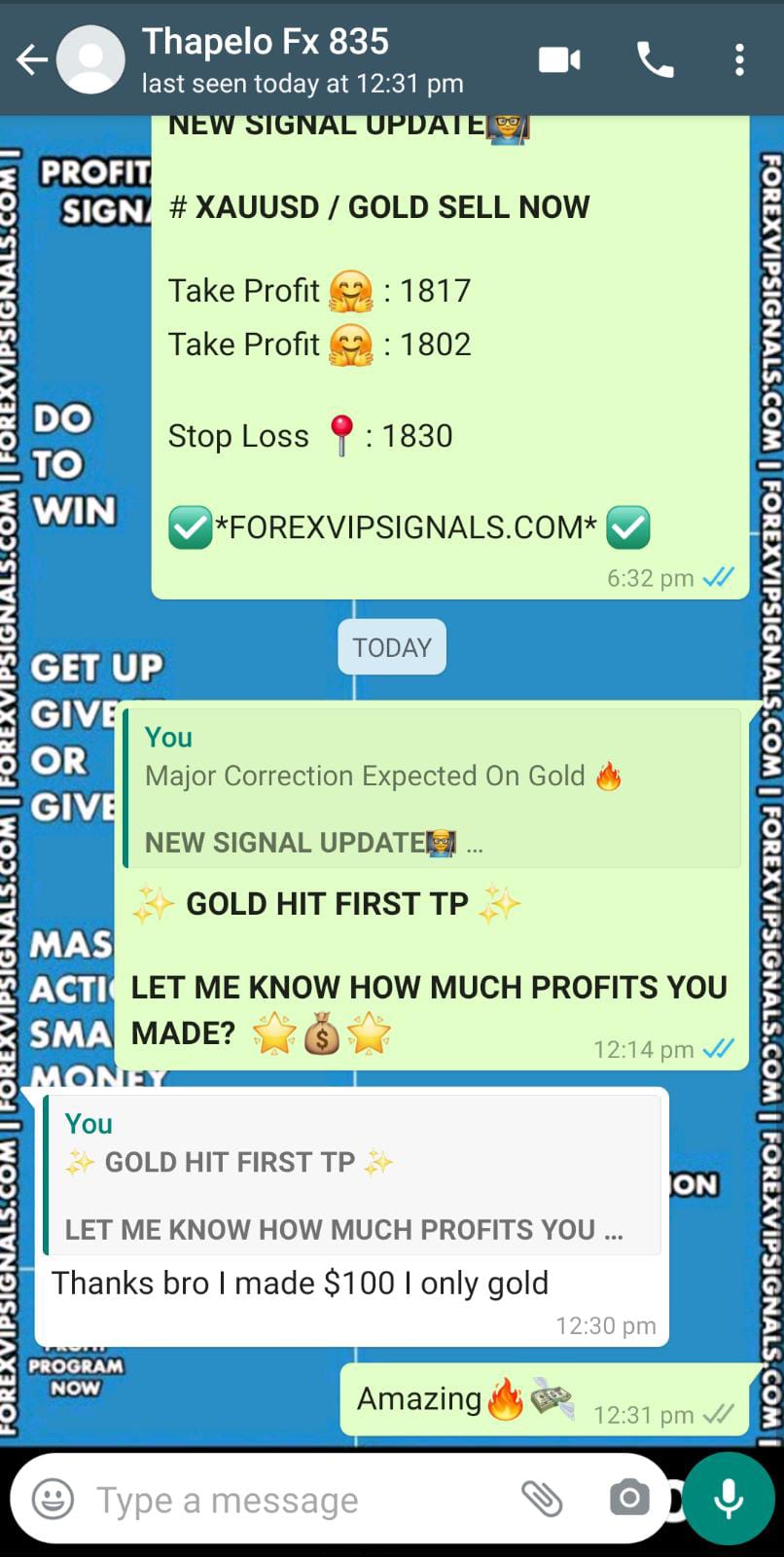 forex trading signals with forex vip signals