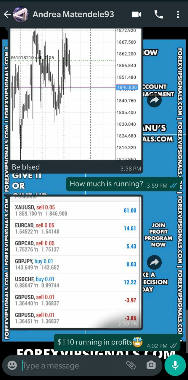 live forex signals by forex vip signals