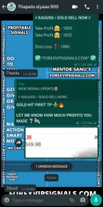 scalping signals by forex vip signals