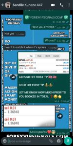 telegram trading signals with forex vip signals