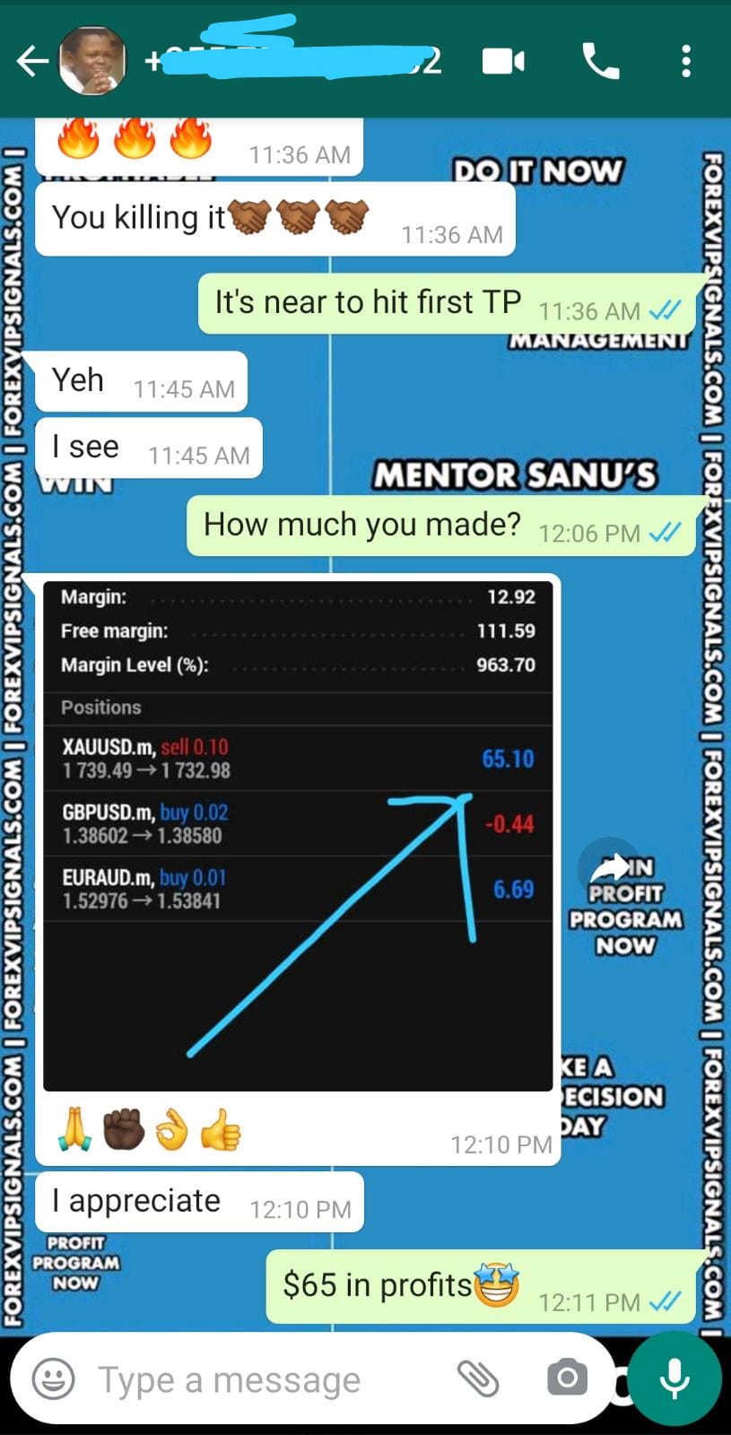 forex signals telegram with forex vip signals