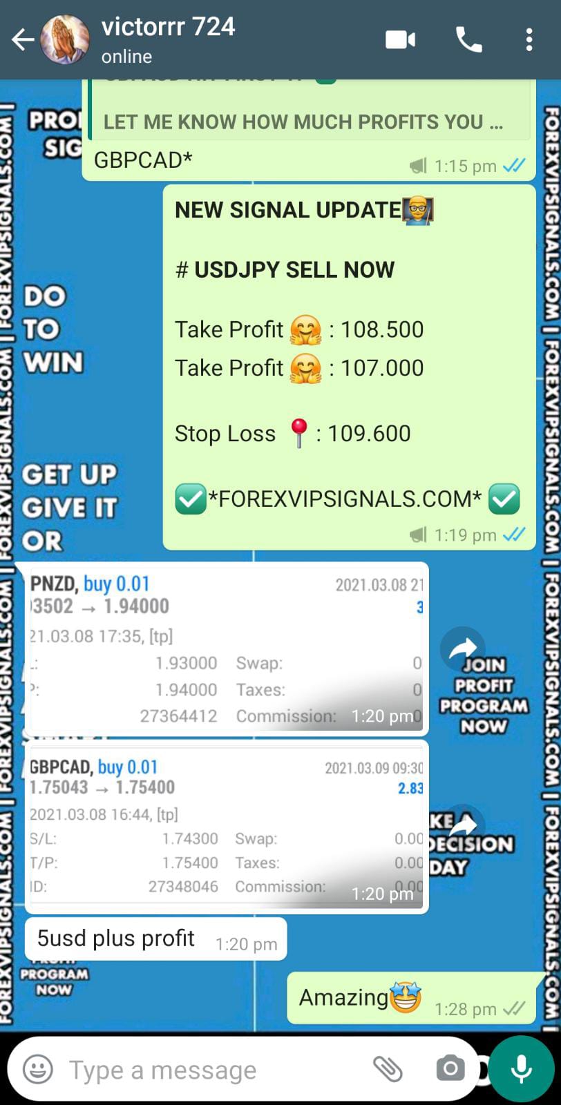 live daily signals by forex vip signals