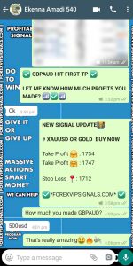most accurate forex signals by forex vip signals