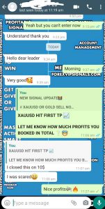 most accurate forex signals with forex vip signals