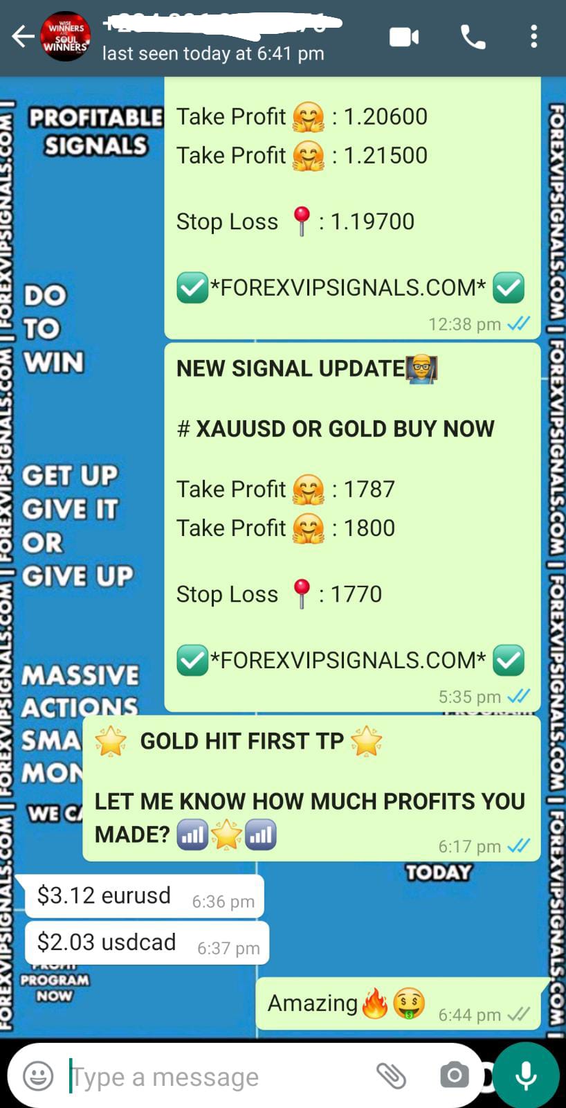 accurate forex signals by forex vip signals