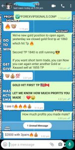 free forex trading signals by forex vip signals