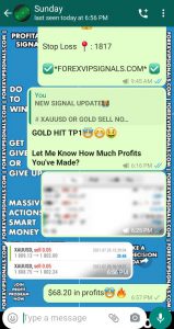 forex gold signals by forex vip signals