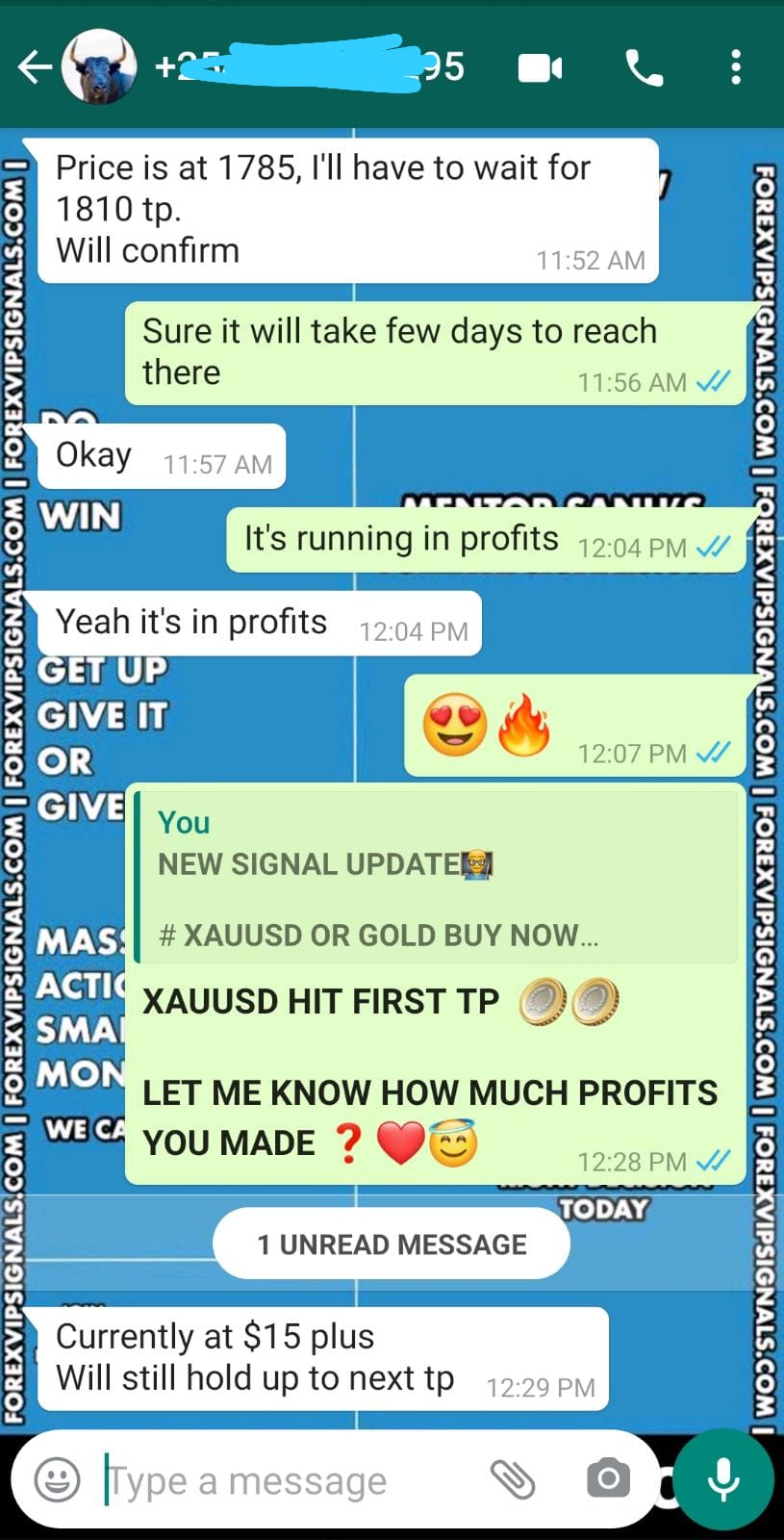 forex vip signals telegram by forex vip signals