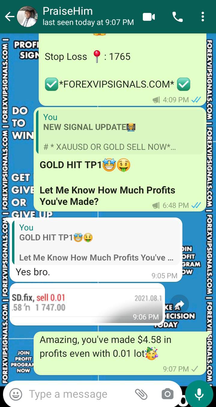 daily forex signals by forex vip signals