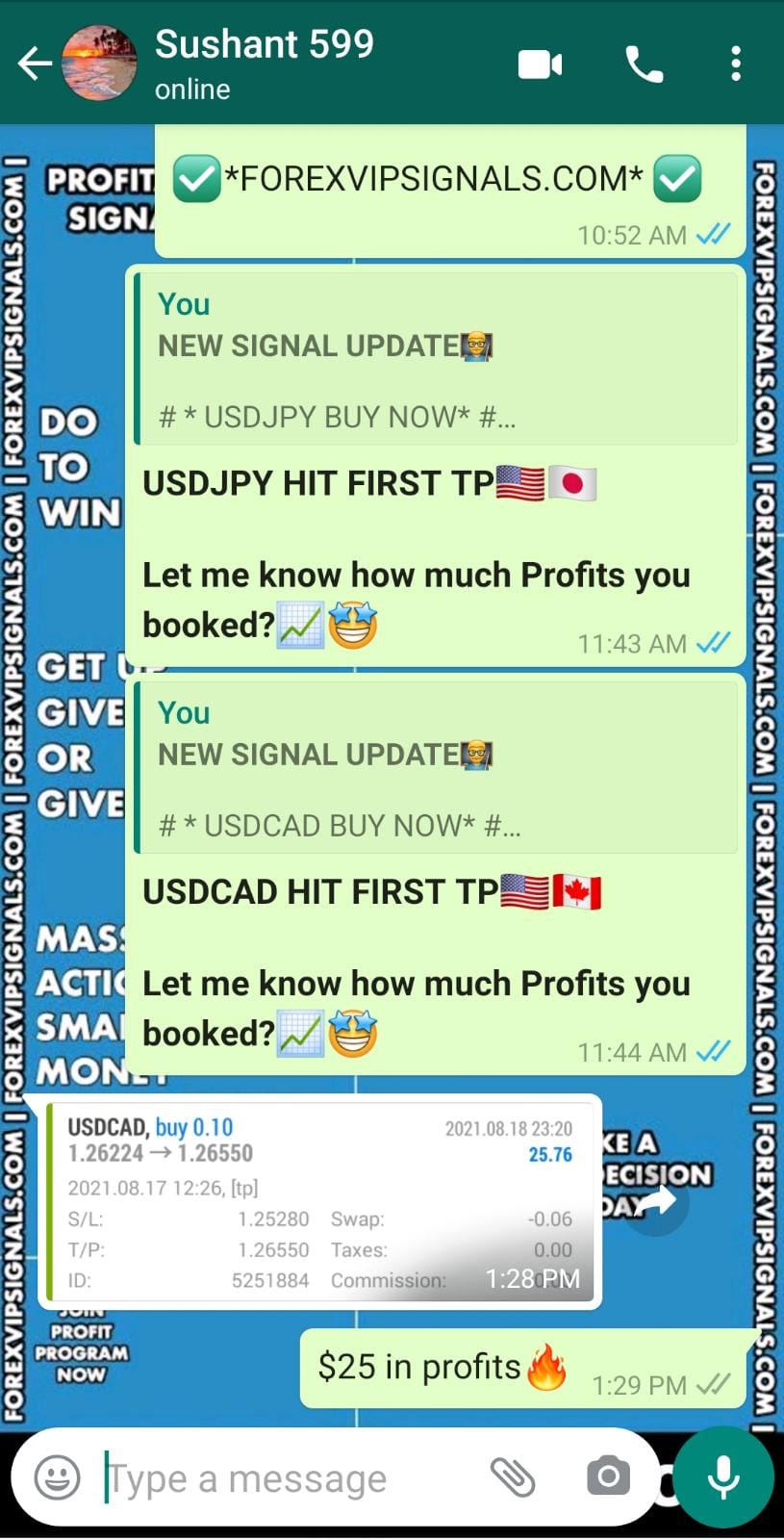 live daily signals by forex vip signals
