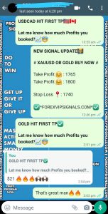 forex pairs by forex vip signals