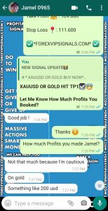 mql5 signals by forex vip signals