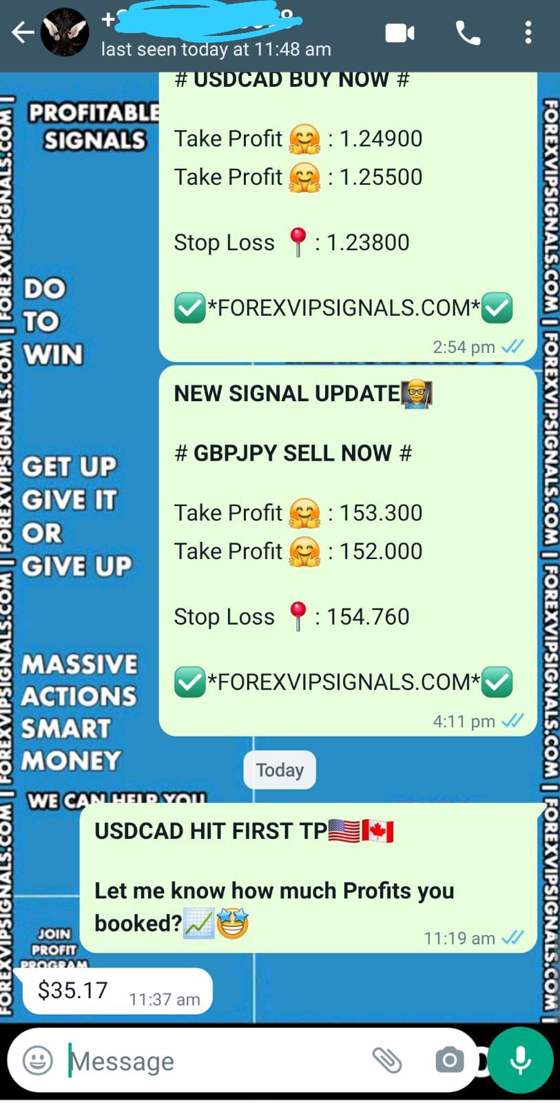 accurate forex signals free by forex vip signals